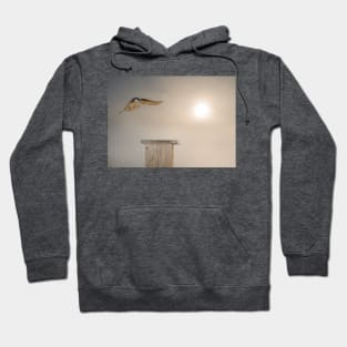 Flyover Hoodie